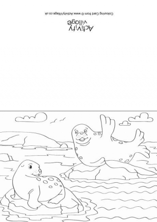 Seals Scene Colouring Card