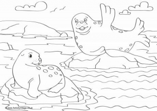 Seals Scene Colouring Page