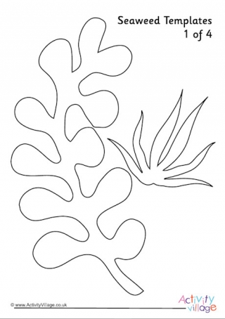 Seaweed Templates