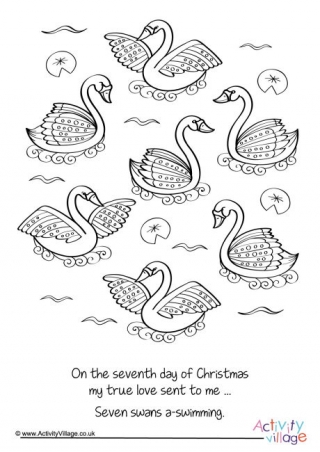 Seven Swans Swimming Colouring Page