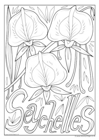 Seychelles National Flower Colouring Page