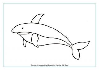 Shark Colouring Page