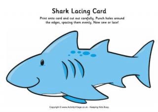 Shark Lacing Card