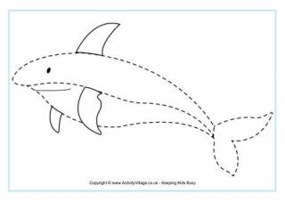 Shark Tracing