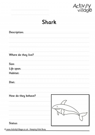Shark Worksheet