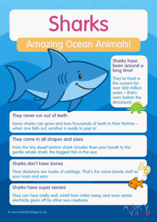 Sharks Poster
