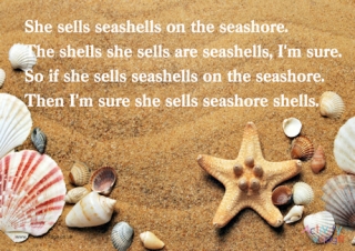 She Sells Seashells Poster