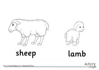 Sheep and Lamb Colouring Page