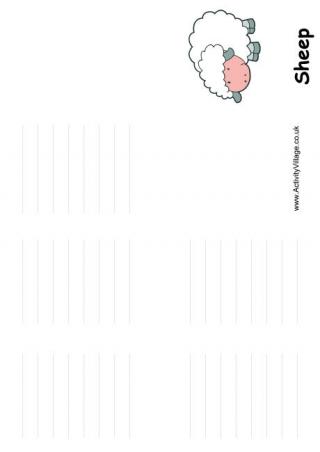 Sheep Booklet