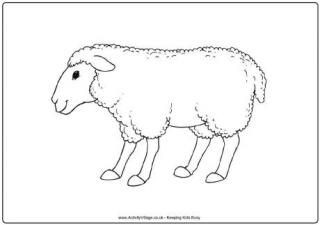 Sheep Colouring Page 2