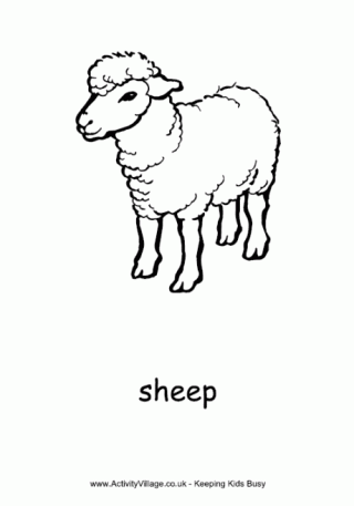 Sheep Colouring Page 3
