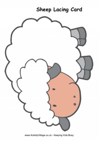 Sheep Lacing Card