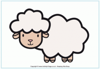 Sheep Poster