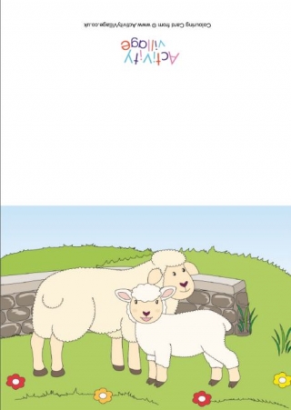 Sheep Scene Card