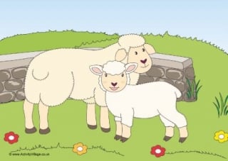 Sheep Scene Poster