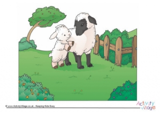 Sheep Scene Poster