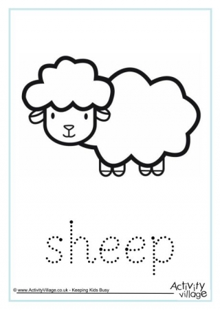 Sheep Word Tracing