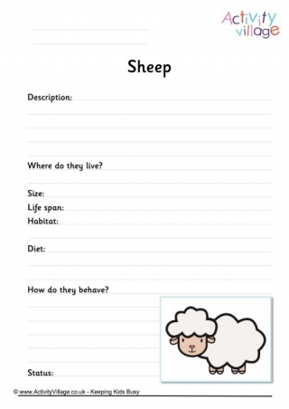 Sheep Worksheet