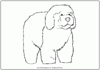 Sheepdog Colouring Page