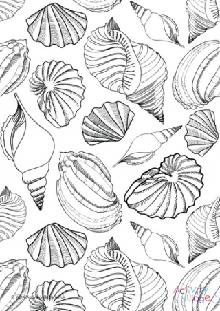Shell Colouring Page 3