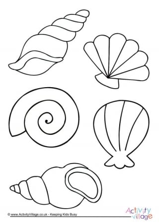 Shell Colouring Page