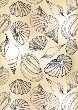 Shell Scrapbook Paper