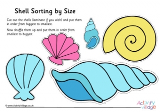 Shell Size Sorting