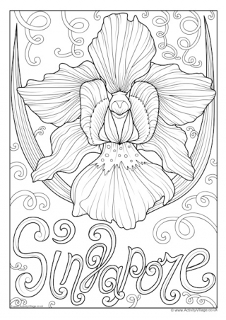 Singapore National Flower Colouring Page