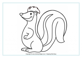  Skunk Colouring Page