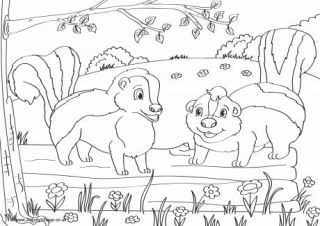 Skunks Scene Colouring Page