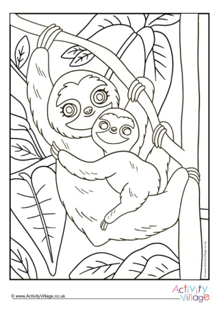 Sloth Colouring Page 1