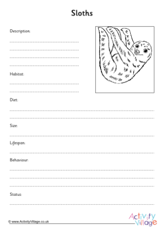 Sloth Fact Finding Worksheet