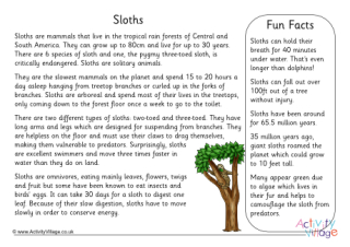 Sloth Fact Sheet