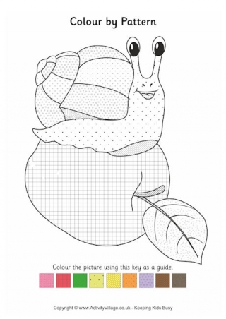 Snail Colour by Pattern