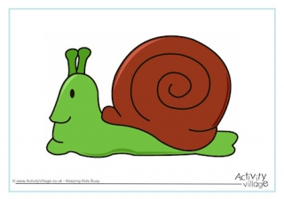 Snail Poster