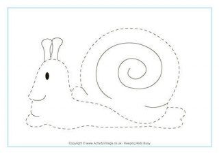 Snail Tracing Page