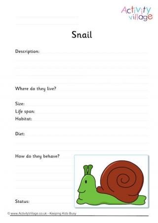 Snail Worksheet