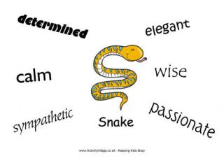 Snake Characteristics Poster