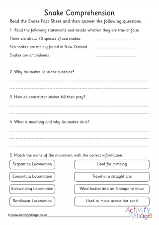 Snake Comprehension Questions 