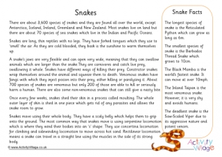 Snake Fact Sheet