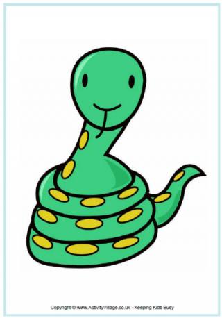 Snake poster