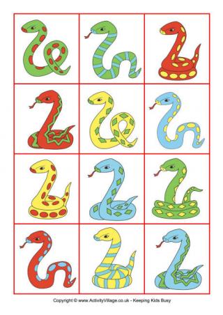 Snake Sorting Cards