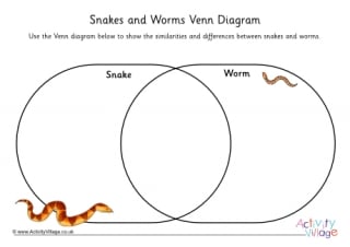 Snakes and Worms Venn Diagram Worksheet