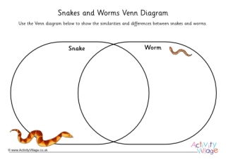 Snakes and Worms Venn Diagram Worksheet