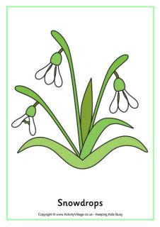 Snowdrop printables for kids