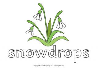 Snowdrops Finger Tracing