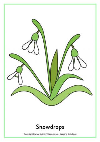 Snowdrops Poster