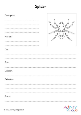 Spider Fact Finding Worksheet