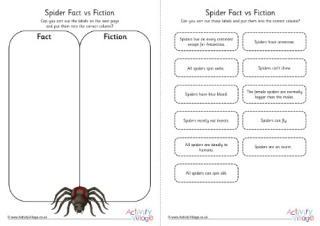 Spider Fact vs Fiction