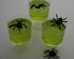 Spider Jelly